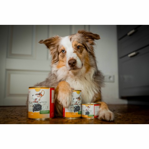 Hund Nassfutter Schäfers Pfanne 200g 6 Stück -6- Anifit